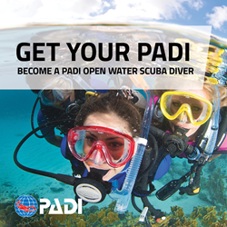 Open Water Diver - Complete Course